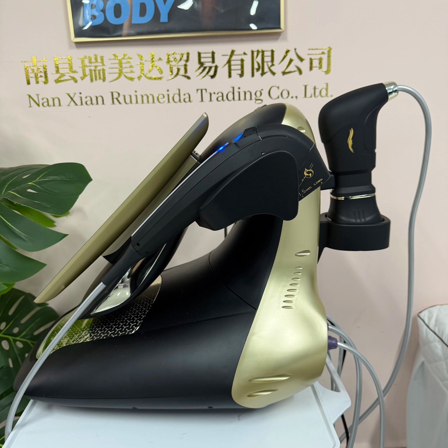 RF Lift Facial And Body Firming Machine 360 25D Portable
