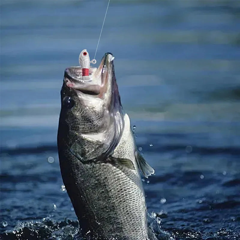 Bucktail Jig Heads Lures 3 Pcs Saltwater Freshwater Walleye Bass