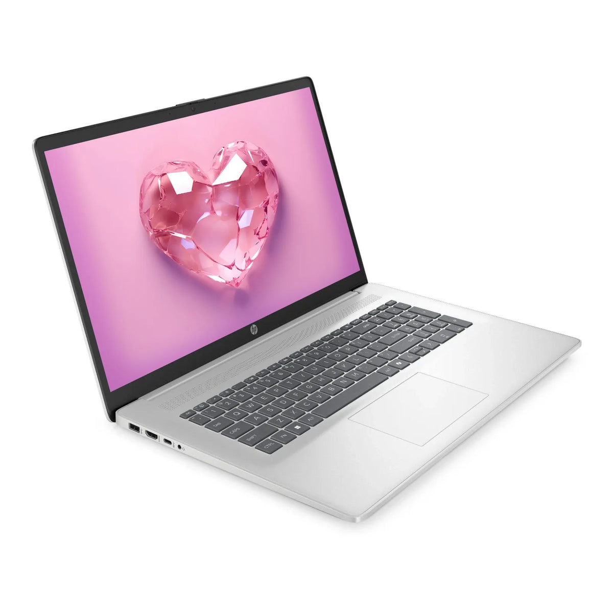 HP Ryzen 5 Business Laptop Radeon Graphics Wi-Fi 6